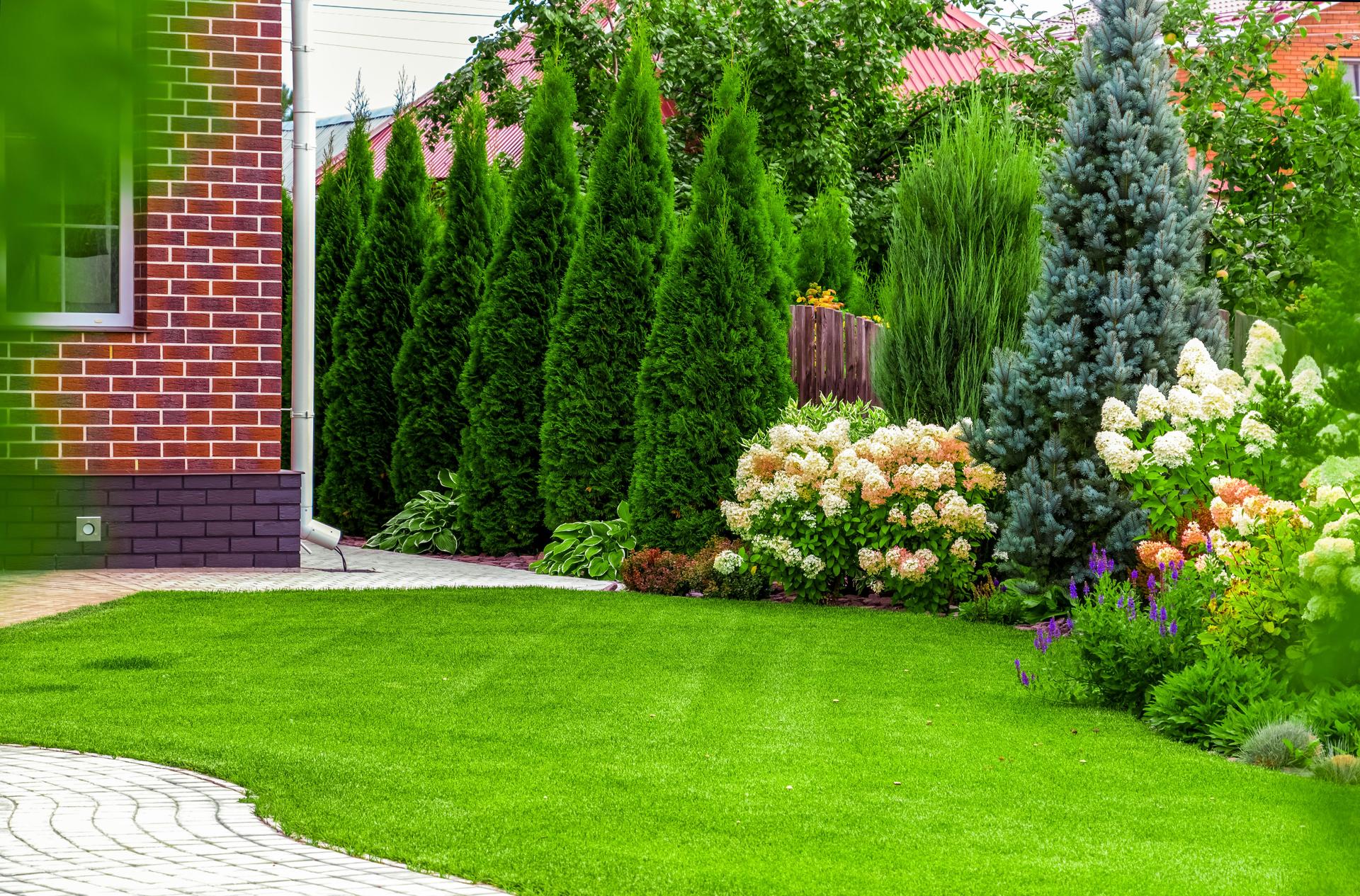 Back yard of a private house
